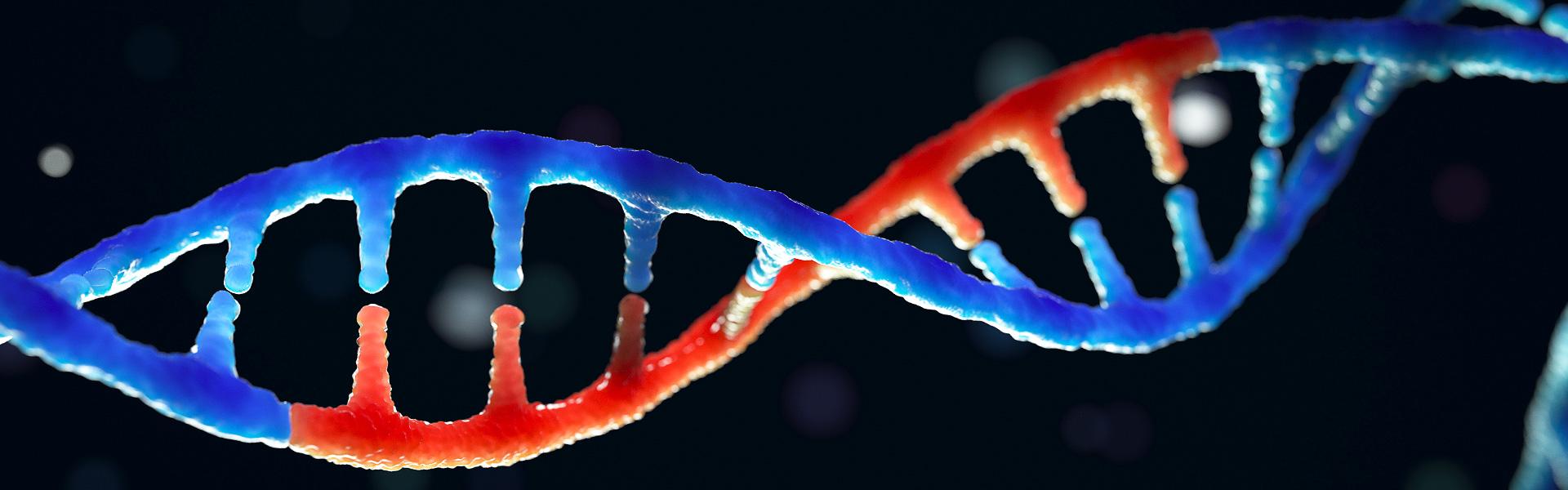 que es el genoma humano